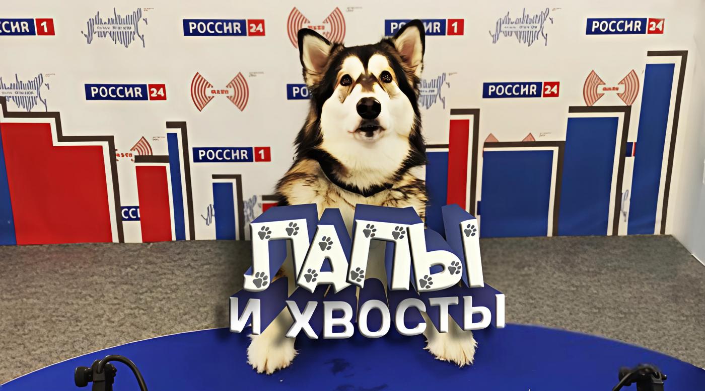 "Лапы и хвосты"